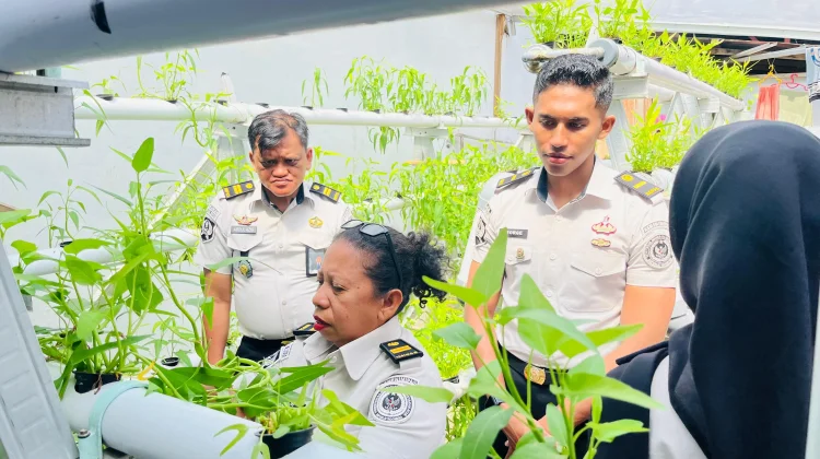 Tetap Produktif di Bulan Puasa, Warga Binaan Lapas Wahai Panen Kangkung Hidroponik