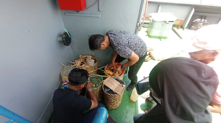 Polisi Sita Puluhan Liter Sopi di Pelabuhan Ambon saat Pengamanan Mudik