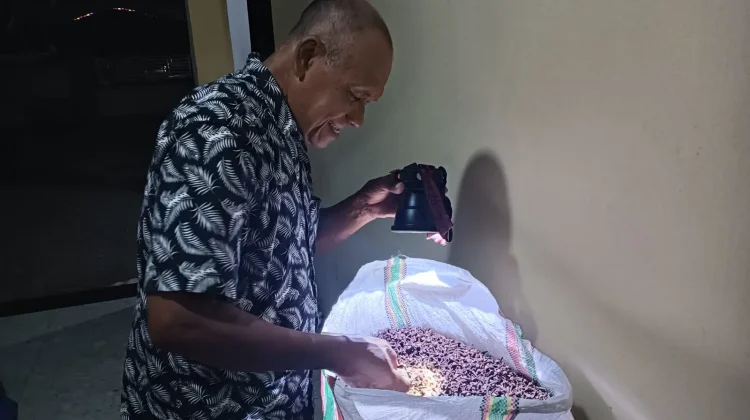 Cengkeh Raja, Primadona Ekonomi Masyarakat Negeri Latu