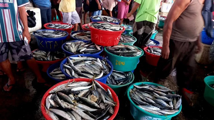 Aktivitas Jual Beli di Pasar Mardika Ambon Kembali Ramai