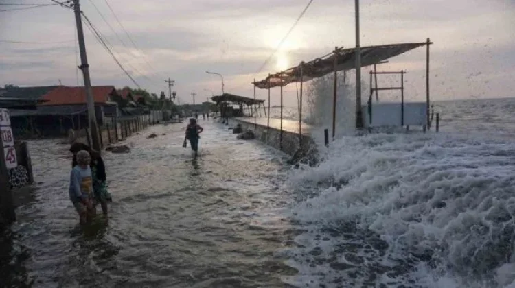 Potensi Banjir Rob Ancam Sejumlah Pesisir Maluku