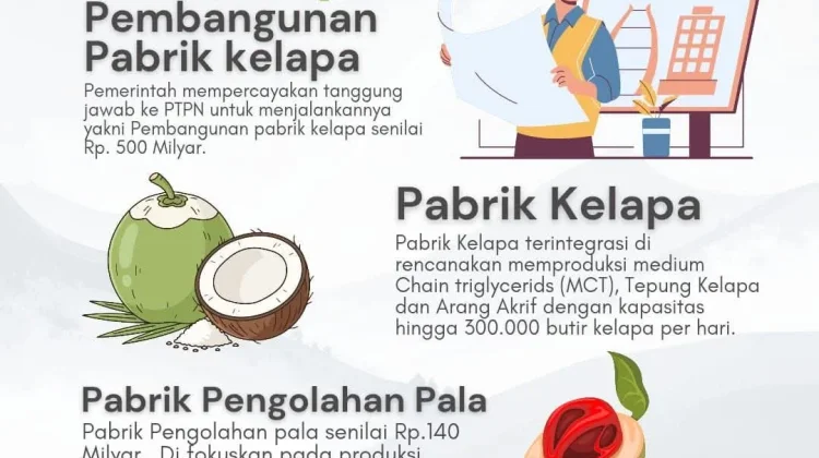 Bupati Malteng Pastikan Pembangunan Pabrik Kelapa Terintegrasi
