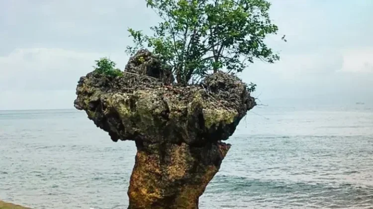 Bodewin Ajak Wisatawan Nikmati Legenda Unik Batu Capeu