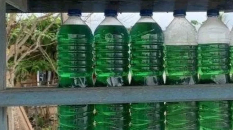 Dua Hari Kosong, Pertalite di Leihitu Kembali Tersedia