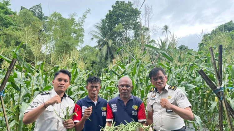 Kian Produktif, Lapas Wahai Catat Panen Kedua 15 Kg Kacang Panjang