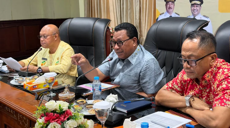 Tekan Kebocoran Anggaran, Pemprov Maluku Wajibkan OPD Digitalisasi Terintegrasi