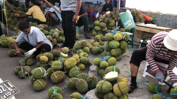 Musim Duren Tiba, Pasar Mardika Banjir Durian Luar Ambon