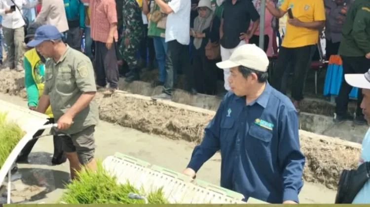 Bendungan Samal Difungsikan, Ribuan Hektare Sawah di Malteng Terairi