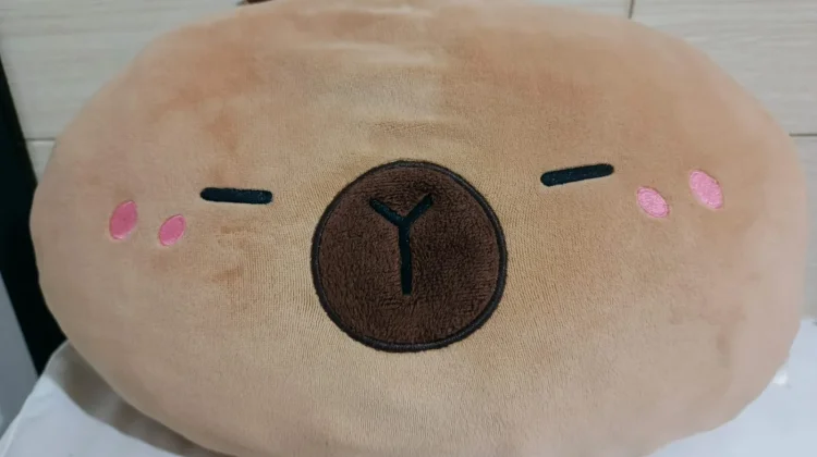 Manfaat Bantal Karakter