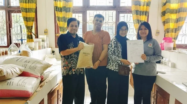Perkuat Ketahanan Pangan, BRMP Maluku Salurkan Benih Unggul ke Kabupaten MBD