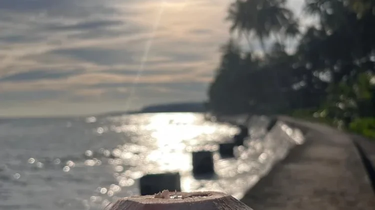 Efek Samping Air Kelapa jika Diminum Berlebihan, apa saja?