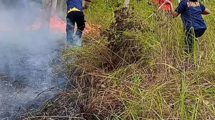 Hutan Gunung Nona Terbakar, Api Berhasil Dipadamkan dalam Dua Jam