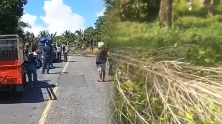 Cengkeh Jadi Pemicu Bara, Warga Seriholo Lumpuhkan Akses Jalan Lintas Seram