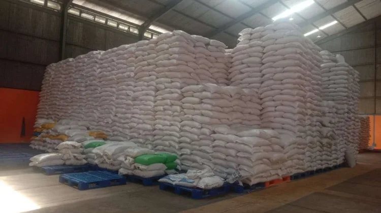 Bulog Maluku Target Serap 5.000 Ton Beras Petani Lokal