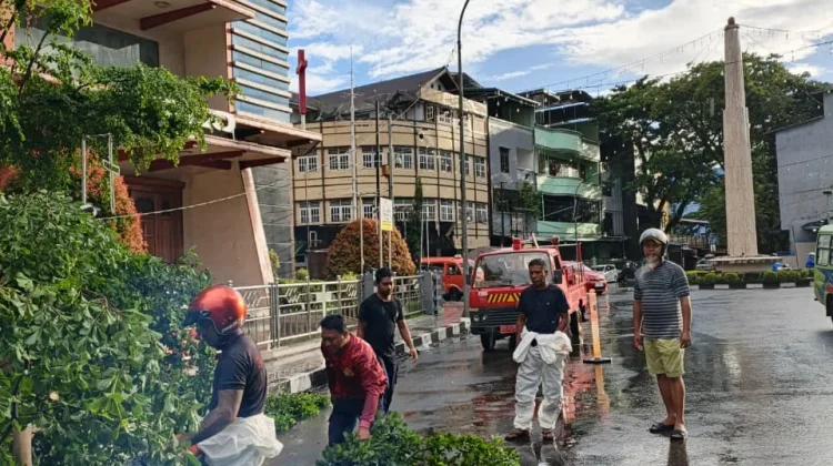 Akses Jalan Terganggu, Damkar Ambon Evakuasi Pohon Tumbang di Kawasan Gereja Silo
