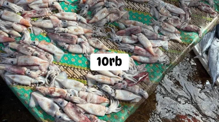 Harga Cumi di Pasar Mardika Masih Terjangkau