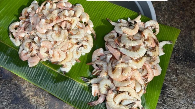 Harga Udang Stabil di Pasar Mardika meski Permintaan Tinggi