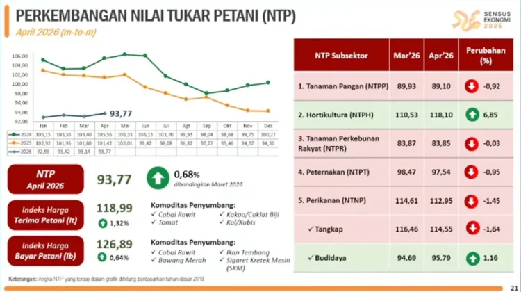 Nilai Tukar Petani Maluku Naik 0,68 Persen, Masih Terendah Secara Nasional