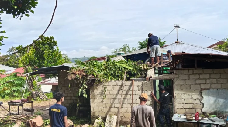 Diguyur Hujan Seharian, Rumah warga di Kawasan Citraland Rusak Tertimpa Pohon