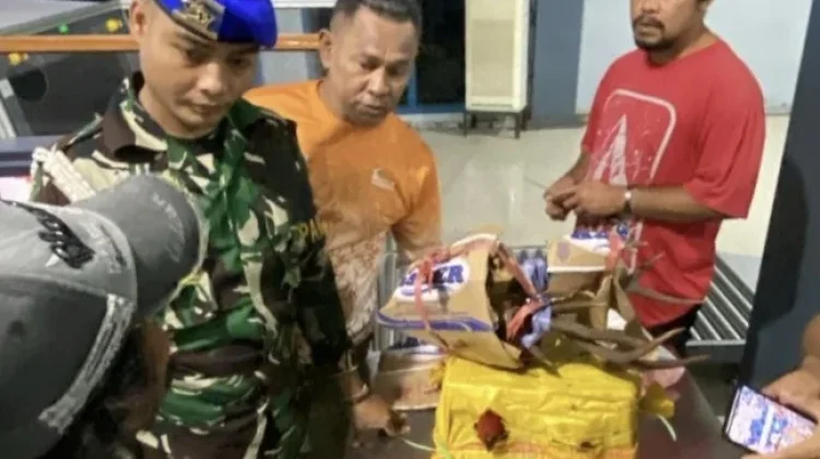 Petugas Gagalkan Penyeludupan Burung Nuri & Tanduk Rusa di Pelabuhan Yos Sudarso