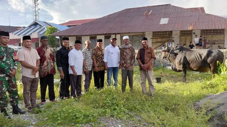 Bupati Malteng Serahkan Sapi Qurban Bantuan Presiden ke Tehoru