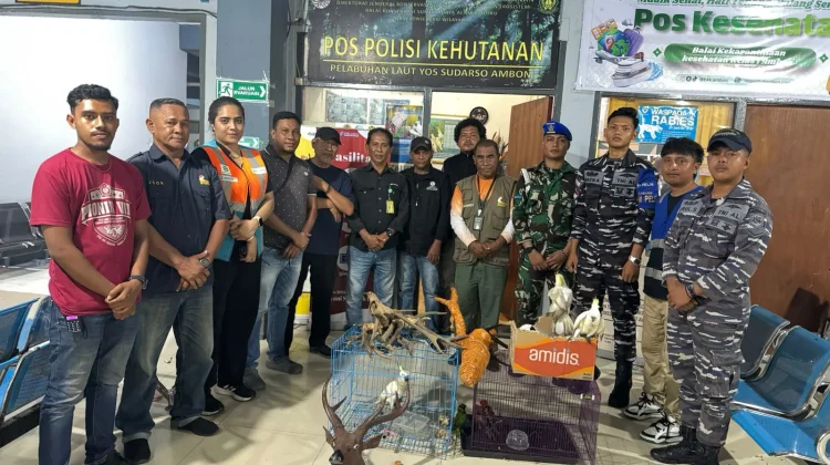 Penyelundupan Satwa Dilindungi & Senjata Tajam di Pelabuhan Ambon Digagalkan