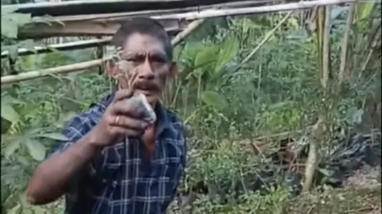 Optimalisasi Kebun Sayur dan Rempah Jadi Bisnis Menguntungkan di Latuhalat Ambon