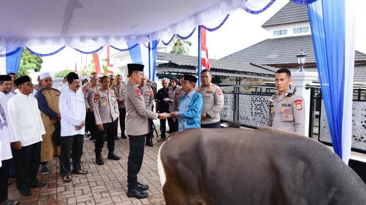 Polda Maluku Tebar Kepedulian di Momen Idul Adha 2026 lewat 37 Sapi Kurban