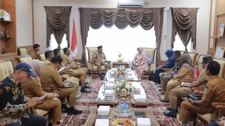 Kunjungan Kerja DPD RI Bahas Layanan Kesehatan Malteng