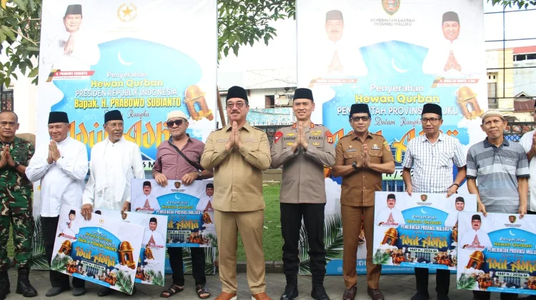 Presiden Prabowo Salurkan 17 Ekor Sapi Kurban untuk 11 Kabupaten/Kota di Maluku