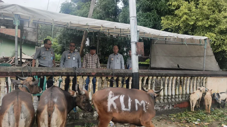 Iduladha Penuh Makna, Kemenkum Maluku Salurkan Hewan Kurban untuk Warga Nania