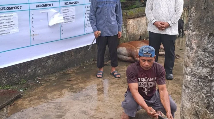 Semangat Berbagi, Kakanwil Kemenkum Maluku Turun Langsung Sembelih Hewan Kurban