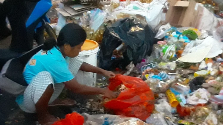 Sisa Makanan Buangan di Sekitar Ambon Plaza Dipulung sebagai Pakan Ternak