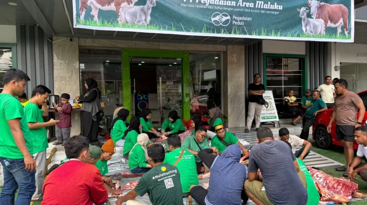 Pegadaian Maluku Bagikan Hewan Kurban Idul Adha 1447 H