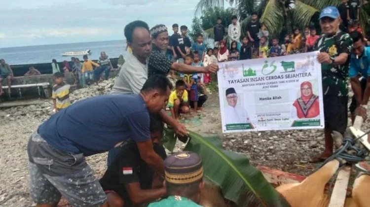 Maluku Terima Kuota Kurban Terbesar di Indonesia Timur dari Yayasan Indah