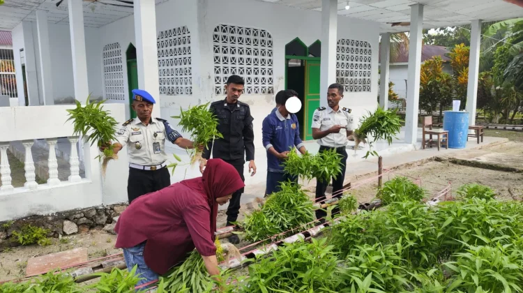 Warga Borong 100 Ikat Kangkung Hidroponik Hasil Garapan Warga Binaan Lapas Geser