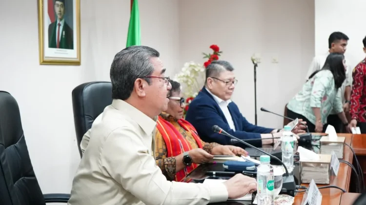 Gubernur Hendrik Paparkan Capaian Pembangunan Maluku ke Wamendagri