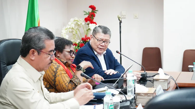 Kunker Perdana ke Maluku, Wamendagri Dorong Percepatan PSN