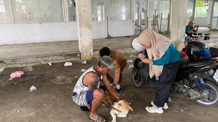 Pemerintah Negeri Passo Gandeng Dinas Pertanian Ambon Gelar Vaksin Massal