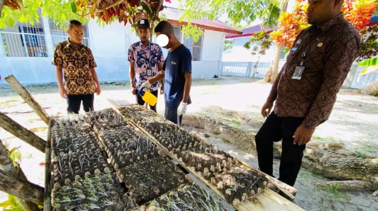 Fokus Kemandirian, Warga Binaan Diedukasi Teknik Penyemaian Bibit Pakcoy
