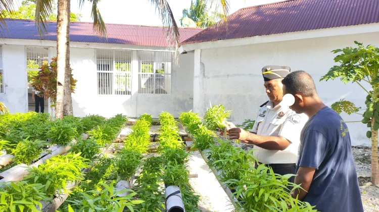 Lapas Geser Edukasi Perawatan Tanaman Kangkung Hidroponik bagi Warga Binaan