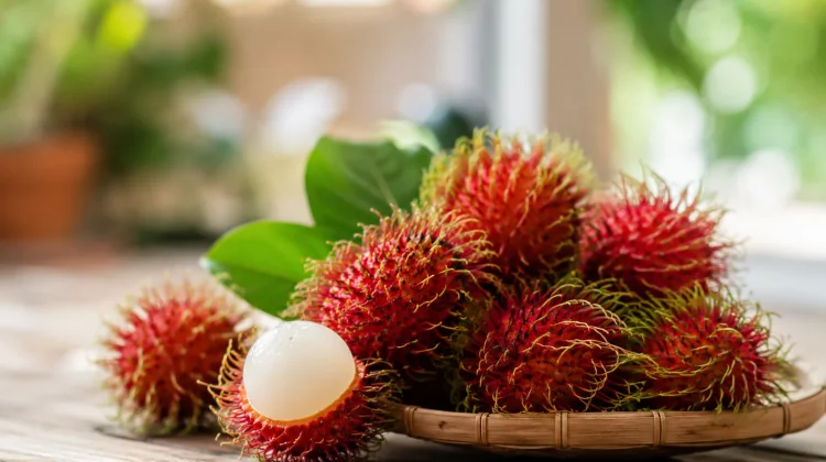 Jangan Remehkan Rambutan, Ini Khasiatnya untuk Imunitas Tubuh
