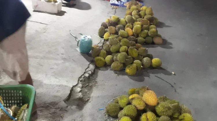 Ambon Kembali Banjir Durian, Pedagang Sebut Pasokan Melimpah