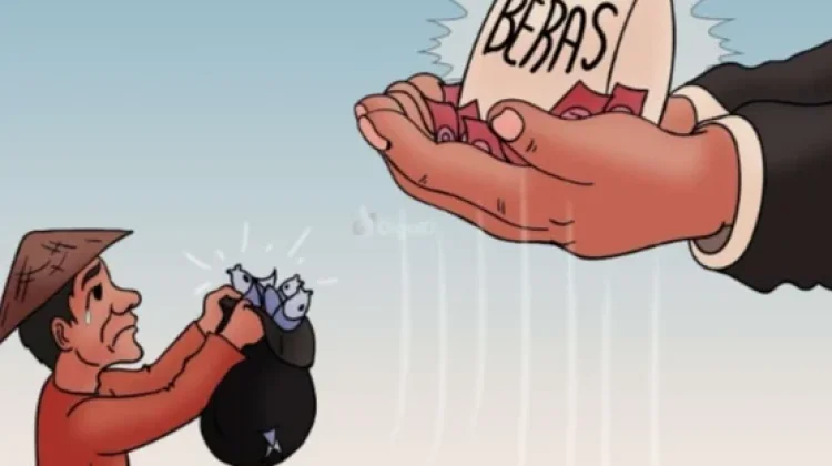 Survei BBRMP, Harga Pangan di Aru Alami Fluktuasi