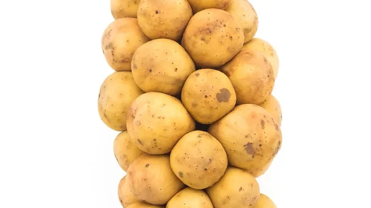 Jangan Lewatkan Duku, Buah Lokal dengan Segudang Nutrisi