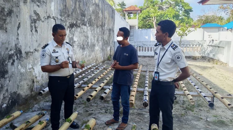 Lapas Geser Gencarkan Teknik Perawatan Kangkung Hidroponik