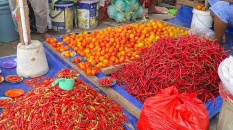 Harga Cabai Keriting di Pasar Mardika Ambon Turun Drastis