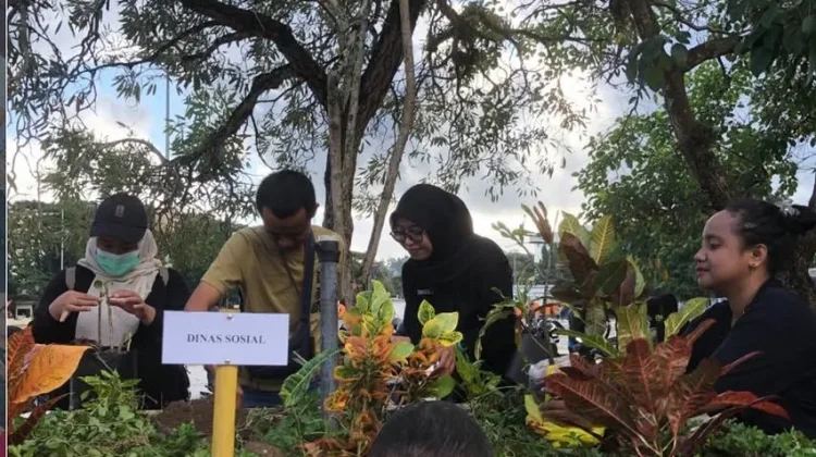 Dinas Sosial Ambon Dukung Gerakan Tanam Gadihu