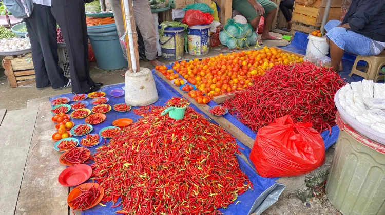 Tomat di Pasar Mardika Ambon Turun Drastis, Kini Rp12.000 per Kilogram