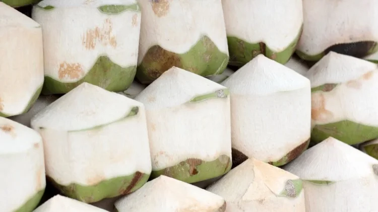 Air Kelapa, Minuman Alami dengan Segudang Manfaat bagi Kesehatan